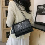 Cross-border Bag Women's New Style Bag High-end European and American Retro Chain Dionyor Bag Fashion Shoulder Crossbody Bag - Image 3