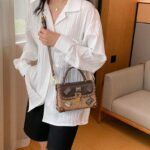 Cross-border Texturized Niche Design Shoulder Bag Fashionable Vintage Badge Bag Women's Fashion Crossbody Bag Portable Box Bag - Image 4