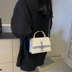 High-End Women's Small BagTrendy This Year's Popular French Chain Shoulder Bag Internet Celebrity - Image 4