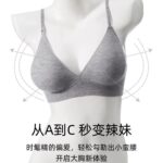 Japanese Lazy Style Non-rims Bra Push-up Small Chest Underwear Women's Simple Deep V Letter Traceless Soft Support Bra - Image 4