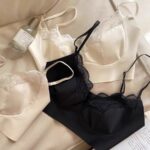 French Sexy Lace Rabbit Ears Underwear Women's Seamless No Wires Beautiful Back Tube Top Big Breast Revealing Small Bra - Image 2
